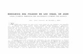 HERALDICA DEL PALACIO DE LOS VELEZ, EN JAEN · HERALDICA DEL PALACIO DE LOS VELEZ, EN JAEN UNA CARTA INEDITA DE ALONSO LOPEZ DE HARO Por José Antonio de Bonilla y Mir.) I UBO iun