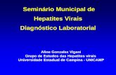 Seminário Municipal de Hepatites Virais Diagnóstico ... · História Natural - Hepatite C Sexo feminino, jovem no momento da infecção 30 anos Fígado Normal Infecção Aguda Infecção