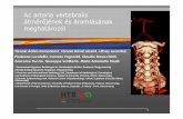 Az arteria vertebralis átmérőjének és áramlásának …...Az arteria vertebralis átmérőjének és áramlásának meghatározói A.vertebralisok •biztosítják az infratentorialis