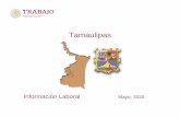 Tamaulipas - Gob€¦ · Nacional Tamaulipas Periodo 19,927,696 664,641 Abril 2020 Tasa de Desocupación (por ciento) 1/ 2.9 3.2 Marzo 2020 Conflictividad colectiva laboral en la