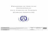C T (C I III) - Tenerife€¦ · 3.1 Características del Programa..... 11, 12,13 3.2 Requisitos de los candidatos ... actualmente una ardua tarea. Para solventar parcialmente esta