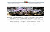 PROGRAMA LEHIATU PROMOCION 2016 Junio 2016 · Guía para la justificación de gastos del “Programa Lehiatu Promoción” Junio 2016 3 Documento Guía para la justificación de gastos