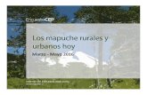 Marzo - Mayo 2016 · Estudio Nacional de Opinión Pública, Marzo-Mayo 2016 % ¿Se siente Ud. mapuche, chileno, o una mezcla de los dos? (Total Muestra Mapuche) (Por Edad y Año)