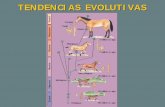 TENDENCIAS EVOLUTIVAS - Universidad De Antioquiadocencia.udea.edu.co/cen/mecanismos-evolucion/pdf_files/filogenia… · Ejemplo: Evolución de caballos: en el linaje que une a Hyracotheriumy
