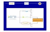 BIOSENSORESBIOSENSORES - Instituto de Microelectrónica de ... · - Desarrollo de biosensores piezoeléctricos para la detección de plaguicidas N-metilcarbamatos y organofosforados