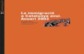 La immigració a Catalunya avui.Impacte econòmic de la nova realitat migratòria en el sistema de salut 304 Fonts d’informació 305 Una aproximació a la salut de les persones immigrants.