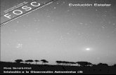 Evolución Estelar astellónrimestral - Número 25Julio - Agosto ... · Evolución Estelar (I) La Constelación de Orión es conocida por la belleza de sus nebulosas, tales como la