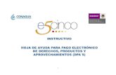  · 2012-06-20 · ESQUEMA DE PAGO E5ClNCO Conagua Cinco PAGO ELECTRÓNICO DE DERECHOS, PRODUCTOS Y APROVECHAMIENTOS (DPXs) El Seràcio de Administración Tributaria (SAT). en su