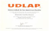  · Universidad de las Américas Puebla a través de la Dirección de UDLAP Consultores, otorga el presente reconocimiento a Reynaldo Lomelí Hernández por haber concluido el diplomado