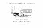 Universidad Miguel Hernándezdspace.umh.es/bitstream/11000/4303/1/TFG García Valero, Diego.pdf · en el offshore y a los no residentes, siendo los extranjeros los clientes del país