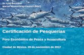 Certificación de Pesquerías · 2018-08-09 · Marine Stewardship Council 3 • Una ONG internacional, sin fines de lucro • Un programa global voluntario de eco-certificación