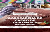 PLAN ESTRATÉGICO DE LA AGROCADENA DE …Previo a la realización del Plan Estratégico de la Agrocadena de Cacao de Guatemala, cabe destacar las acciones del Consejo Nacional de Desarrollo