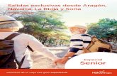 Salidas exclusivas desde Aragón, Navarra, La Rioja y Soria€¦ · Navarra, La Rioja y Soria Especial Senior 2019-2020 Hacemos de tu viaje una gran experiencia. ... Circuito cultural