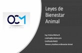 Leyes de Bienestar Animal · 2019-12-13 · La expresión "animal" utilizada genéricamente en este Estatuto, comprende los silvestres, bravíos o salvajes y los domésticos o domesticados,