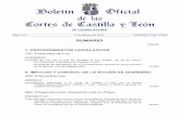I LEGISLATURA - Índice de información · Interpelación formulada a la Junta de Castilla y León por el Grupo Parlamentario Podemos Castilla y León, relativa a política general
