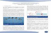 CAPÍTULO 31 - PRINCIPIOS DE LA ARTROSCOPIA 31.pdf · 2016-02-17 · en la articulación y que el suero refluye por la aguja de introducción. La artroscopia de tobillo se realiza