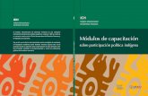 sobre participación política indígena - IIDH · 2009-05-19 · 3. El trabajo documental, acceso a fuentes y utilización de la bibliografía como herramienta de información para