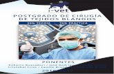 POSTGRADO DE CIRUGÍA DE TEJIDOS BLANDOShvvalenciasur.com/pdf/curso-postgrado-cirugia-tejidos-blandos-ivet-2.pdfHernias. Hernia perineal Herniorraﬁa simple Implante de malla Transposición