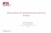 Boas práticas de transporte para suínos na Europa¡rio...Necesidad de espacio • Si el transporte es suave, se tumban Necesidad de espacio basada en el PV m2/animal = 0.0192 W 0.67