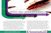 IPM de cucarachas - Rockwell Labs Ltdcon 10% de ácido bórico es la elección perfecta para los tratamientos trimestrales para mantener controladas a las cucarachas durante todo el