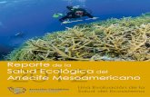 El Arrecife Mesoamericano · esté bajo protección total buscando un enfoque par-ticipativo e incluyente. 6. Formalizar la creación e implementación de pro-gramas de alternativas