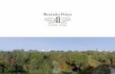 20181123 Brochure MP41 Versión extendida SANGREmenendezpelayo41.com/assets/pdf/MenendezPelayo41_180.pdf · Velázquez 18, 2ºDcha 28001 Madrid · +34 95 134 670 · info@akm-gestion.com