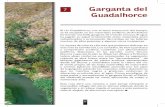 7 Garganta del Guadalhorce - nororma.com · provincia de Málaga. De interés geológico, al igual que otros puntos de la comarca donde están presentes los materiales de esta formación