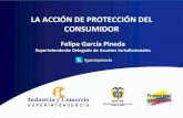 LAACCIÓN#DE#PROTECCIÓN#DEL# CONSUMIDOR · Acción#de#Protección#al#Consumidor# Reclamación! Escritao!Verbal!al! proveedoro productor! Presentación! del!reclamo! directo! Formulación!de!