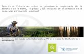Directrices Voluntarias sobre la gobernanza responsable de ...juventudruralemprendedora.procasur.org/wp-content/... · País más desigual de América Latina y el Caribe.84 % Coeficiente