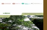 Estudios de Economía forestal en el marco de la Misión de … · 2018-10-09 · 2 Estudios de Economía forestal en el marco de la Misión de Crecimiento Verde en Colombia Forest
