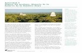 Actividad 4 Página del profesor: Historia de la Reserva de la … · 2013-03-09 · Página del profesor: Historia de la Reserva de la Biósfera Maya Deforestación anual (%) Año