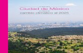 Ciudad de México - Secretaría del Medio Ambiente · Ciudad de México, al ser la tercera aglomeración urbana más grande a nivel mundial, ha asumido compromisos climáticos con