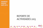 REPORTE DE ACTIVIDADES 2013 - AMITI · •APPlícate •Bolsa de Trabajo –plataforma •Marketplace –plataforma •Youth in Technology (YIT) ... Plan de trabajo ... soluciones