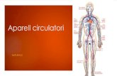 Aparell circulatori - WordPress.com · L’aparell circulatori L’aparell circulatori s’encarrega de transportar substàncies a través de la sang per tot el cos. Està format