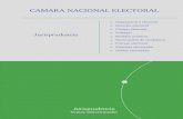 CAMARA NACIONAL ELECTORAL - Centro de Información …Electoral es de observancia obligatoria para los tribunales de primera instancia y las juntas electorales nacionales (artículo