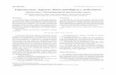 Liposarcomas.Aspectos clínico-patológicos y moleculares patologia 39-3/39-03-02.pdf · conceptuales y clasificatorios en los últimos años, mer-ced a la aplicación de las técnicas