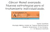 Cáncer Renal avanzado. Nuevas estrategias para el ...basesbiologicascancer.com/wp-content/uploads/2013/06/11...2013/06/11  · Daniel Castellano Oncología Médica.Unidad de Tumores