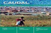 Editorial€¦ · etc. Análisis y eventos como el Taller Internacional “Apoyo a Pe-queños Operadores de Agua y Saneamiento en AL”, el “Estudio de Siete Ciudades en Latinoamérica”