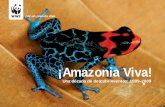 Amazon Alive juan-edited4 FINAL doble pagawsassets.panda.org/downloads/amazonalive_web2.pdf · Además de 30 millones de personas, una de cada 10 especies conocidas en la Tierra habita