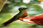 Calendario para Observación de Aves en Inkaterra Machu Picchu … · 2017-03-02 · eendas • •EAL-IGRANT -IGRANTE"OREAL•AL-IGRANT -IGRANTE!USTRAL Calendario para Observación