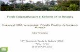 Fondo Cooperativo para el Carbono de los Bosques · • Potencial anual de secuestro de carbono en plantaciones es tCO2e3.6M si se plantan 10% de las tierras elegibles (Zommer, et