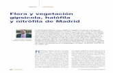 Flora y vegetación gipsícola, halófila y nitrófila de Madrid · 2018-02-07 · Flora y vegetación gipsícola, halófila y nitrófila de Madrid R especto a Madrid, hay que remontar-se