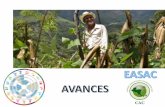 Avances Propuesta Estrategia sobre Agricultura Sostenible …³n EASAC... · 2019-12-22 · Intercambio de experiencias en agricultura sostenible adaptada al clima entre Colombia