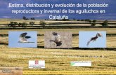 Distribución y evolución de la población reproductora y ... · • El aguilucho cenizo requiere de las campañas de localización y protección de los nidos ya que menos del 95%