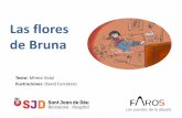 Las flores de Bruna - Faros HSJBCN · 2018-02-26 · ofrecer dos flores, pero con paciencia y sin desfallecer, Bruna siguió buscando palabras amables que cada día regalaba a sus