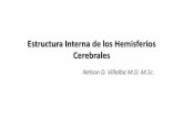 Estructura Interna de los Hemisferios Cerebrales€¦ · Estructura Interna de los Hemisferios Cerebrales Nelson D. Villalba M.D. M.Sc. Antes de seguir, Recuerden que ...