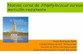 Nuevas caras de Staphylococus aureus meticilín …...Prevalencia de resistencia a meticilina en S. aureus Estudios multicéntricos españoles 0 5 10 15 20 25 30 35 40 45 50 S. a u