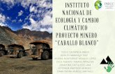 Instituto Nacional de Ecología y Cambio Climático Proyecto …depa.fquim.unam.mx/amyd/archivero/InstitutoNacionaldeEcologia_3… · El drenaje ácido proveniente de la llamada “tepetatera”1