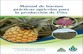 Manual de buenas prácticas agrícolas para la producción de ...€¦ · C837m Costa Rica. Ministerio de Agricultura y Ganadería Manual de buenas prácticas agrícolas para la producción
