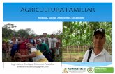 AGRICULTURA FAMILIAR - fondohortifruticola.com.co · 1. Persistencia de la Pobreza Rural en América Latina, antes durante y después de los ajustes estructurales de los año 1980